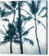 Big Island Palms Canvas Print