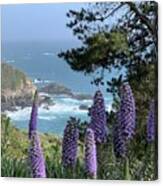 Big Sur Coast Purple Flowers Canvas Print
