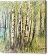 Birch Forest Visitor Canvas Print
