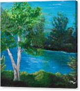 Birch On Lake Canvas Print