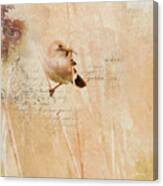 Bird And Bug Canvas Print