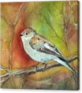 Bird On A Branche Canvas Print