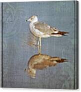 Bird Reflection Canvas Print
