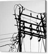 Bird Vs Electric Tower In Monochrome Canvas Print