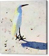 Birdie Bird Canvas Print