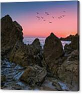 Birds Of A Feather Pink Sunset Canvas Print
