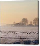 Birds On Field Against Sky During Winter Canvas Print