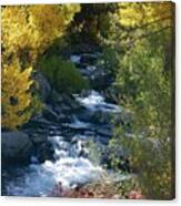 Fall Color And Sun Rays On Bishop Creek Canvas Print