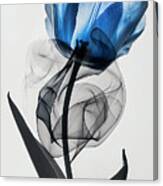 Black And Blue Elegance Canvas Print