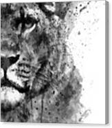 Black And White Half Faced Lioness Canvas Print