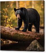 Through The Forest - Black Bear's Secret Path Canvas Print