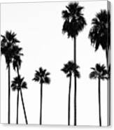 Black California Series - Palm Trees L.a Canvas Print