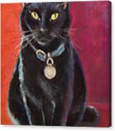 Black Cat Sitting Canvas Print
