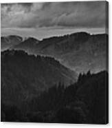Black Forest Fog Receives Rain Canvas Print