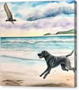 Black Labrador At The Beach Canvas Print