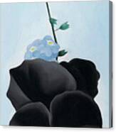 Black Pansy With Forget-me-nots - Modernist Flower Painting Canvas Print