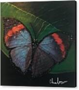 Blessed Butterfly Canvas Print