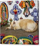 Blessed Kitty In El Mercado Canvas Print