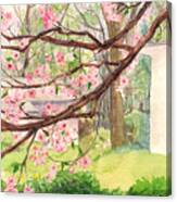 Blooming Cherry Canvas Print