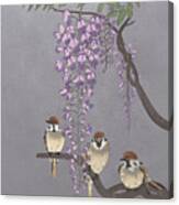 Blooming Wisteria And Sparrows Canvas Print