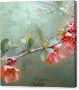 Blossoms On A Branch, The Seasons Softly Changing Canvas Print