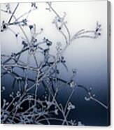 Blue Abstract Of Branches Canvas Print