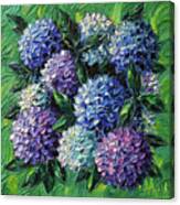 Blue And Purple Hydrangeas Canvas Print