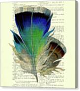 Blue Bird Feather On A French Book Page Canvas Print