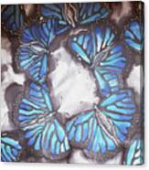 Blue Butterflies Canvas Print