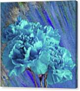 Blue Carnations Canvas Print