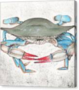 Blue Crab #1 Canvas Print