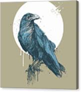 Blue Crow Iii Canvas Print