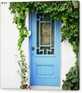 Blue Door And Vine Canvas Print