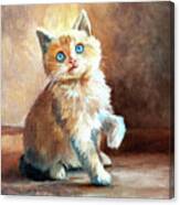 Blue Eyed Kitten Canvas Print