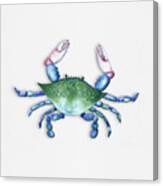 Blue, Green, Red Crab Canvas Print