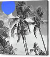 Blue Hawaii Canvas Print