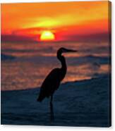 Blue Heron Beach Sunset Canvas Print