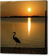 Blue Heron On The Dock At Sunset Canvas Print