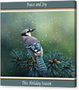 Blue Jay In Winter Christmas Card Canvas Print