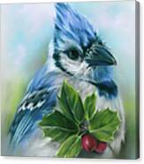 Blue Jay With Holly Canvas Print