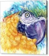 Blue Macaw Canvas Print