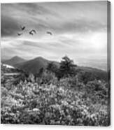 Blue Ridge Smoky Mountains Overlook Sunset Black And White Canvas Print