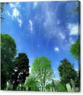 Blue Skies Above Canvas Print