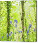 Bluebell Woods Canvas Print