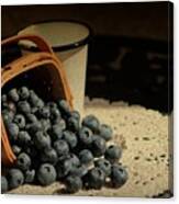 Blueberries In Basket - Old World Stills Series Canvas Print