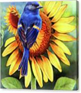 Bluebird On The Sunflower 2 Canvas Print