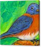 Bluebird Perch Canvas Print