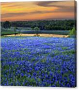 Bluebonnet Lake Vista Texas Sunset - Wildflowers Landscape Flowers Pond Canvas Print