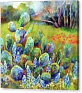 Bluebonnets And Cactus-pastel Colors Canvas Print