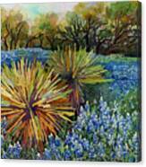 Bluebonnets And Yucca Canvas Print